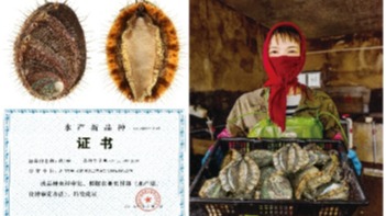 喜報！綠盤鮑、“三海”海帶入選農業農村部2023年農業主導品種