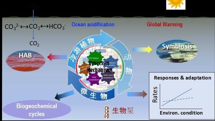 研究領域03